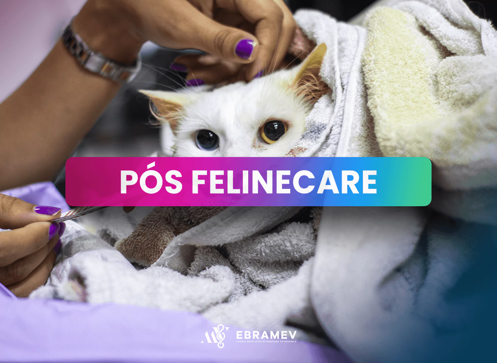 FELINECARE