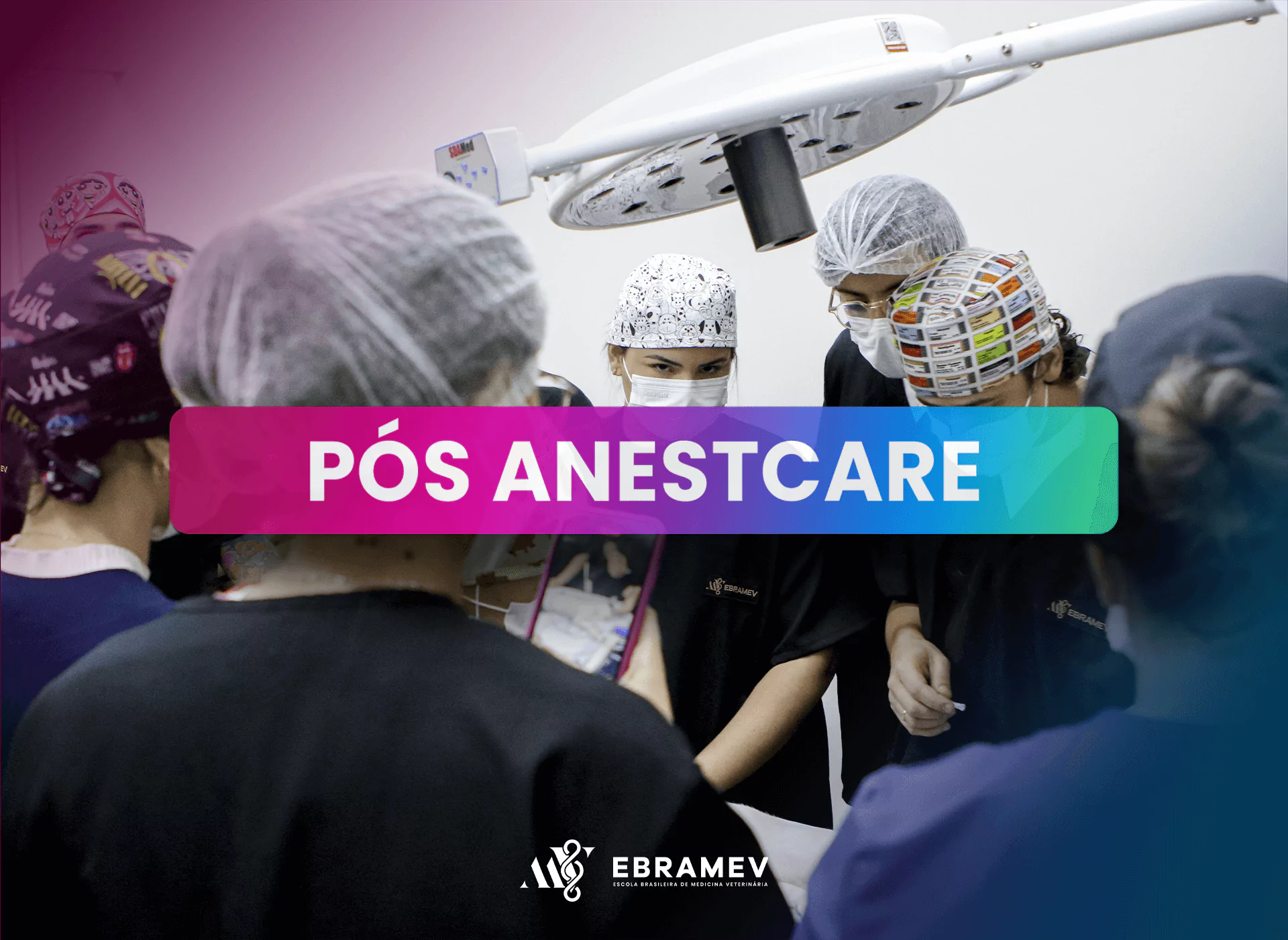 ANESTCARE RJ