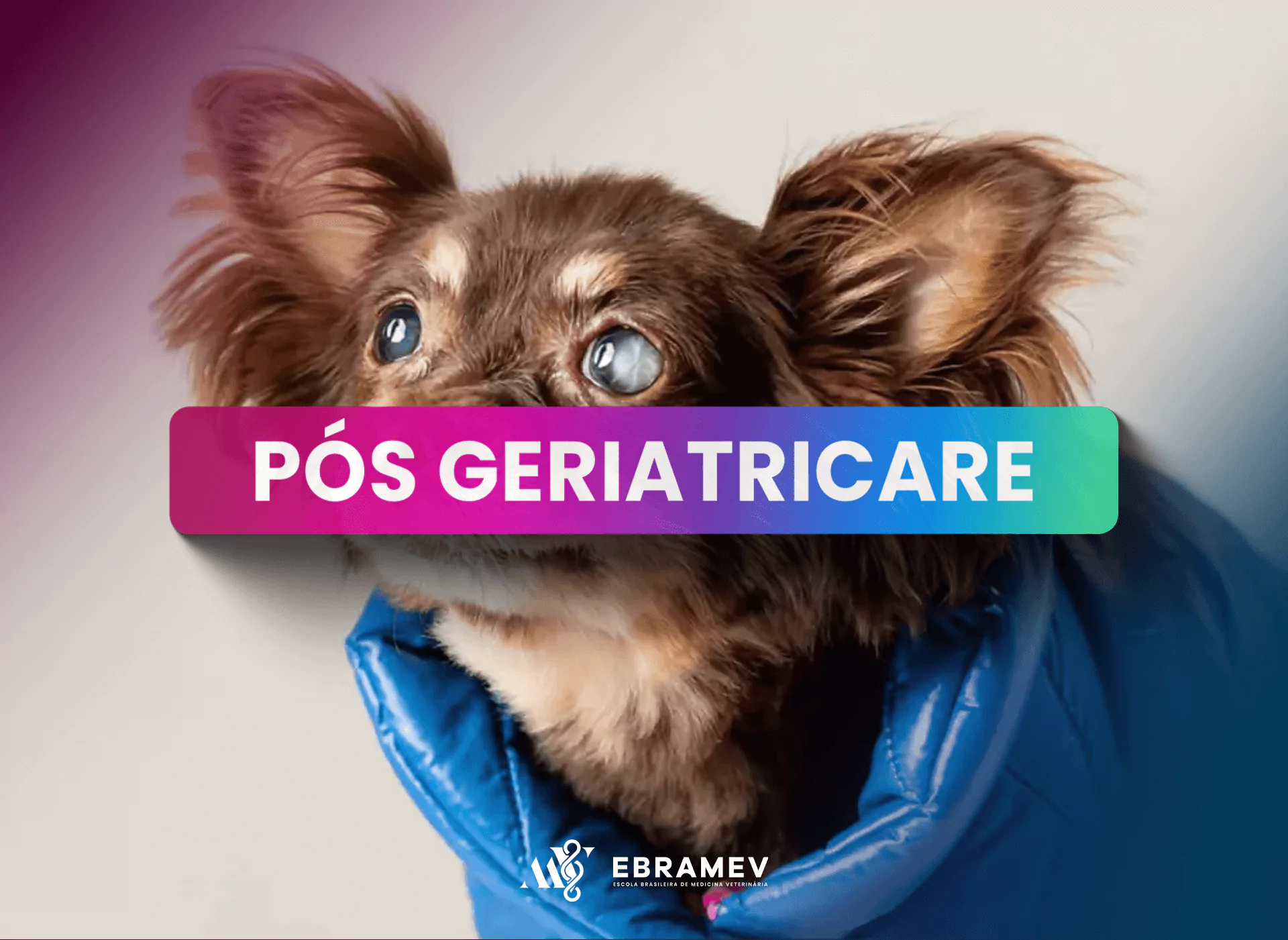 GERIATRICARE