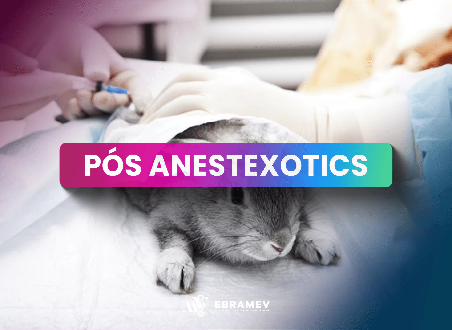 ANESTCARE EXOTICS